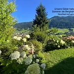 アパート Panoramachalet Tirolernaturschlaf ヴィルトシェーナウ