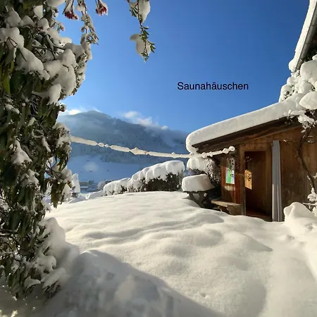 Panoramachalet Tirolernaturschlaf Appartement Wildschoenau